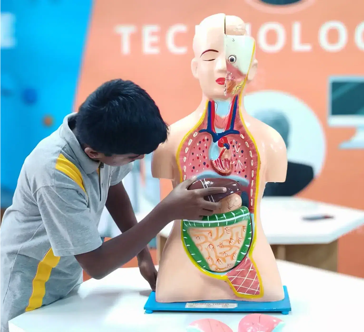 3D Human Torso