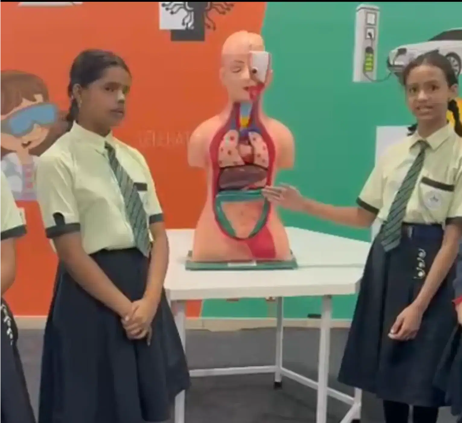 2D Human Torso