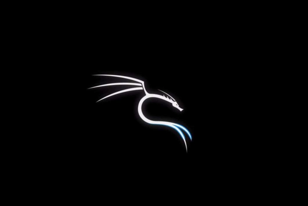 The picture shows white dragon on black background